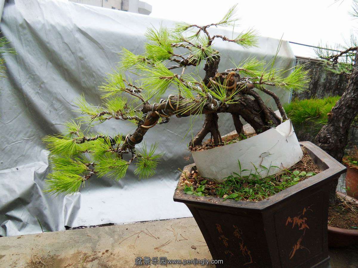 SDC10700.JPG