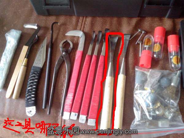 133238l9jjt9ybob36ubh9_jpg_thumb.jpg