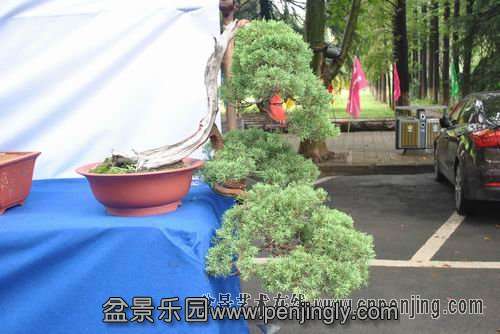 084628abpb90mbs9sbo0bm.jpg