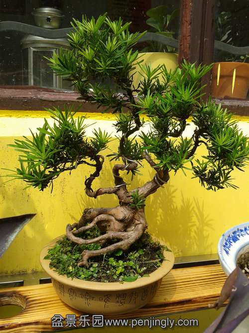 2013-09-13 13.00.10.jpg