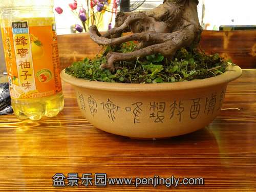 2013-09-13 12.58.02.jpg