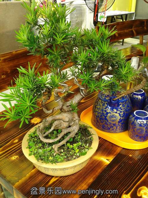 2013-09-13 12.58.28.jpg