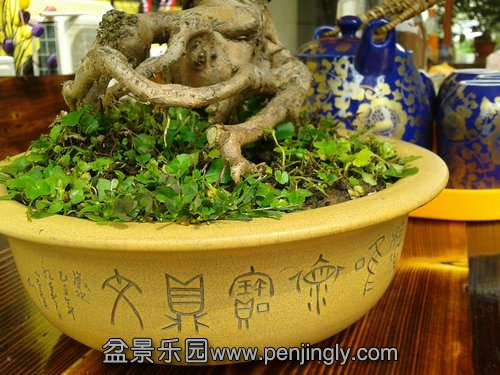 2013-09-13 12.58.48.jpg