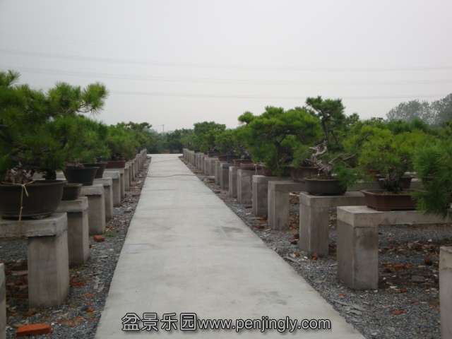 DSC04992.JPG