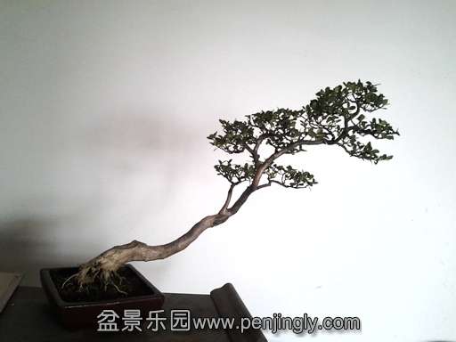 20130913_110652.jpg