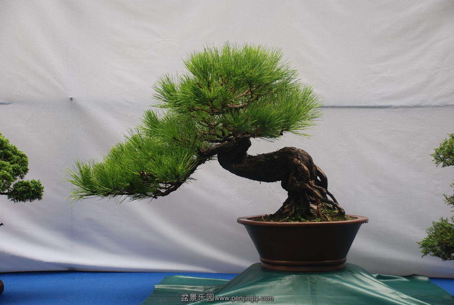 DSC_4128.JPG