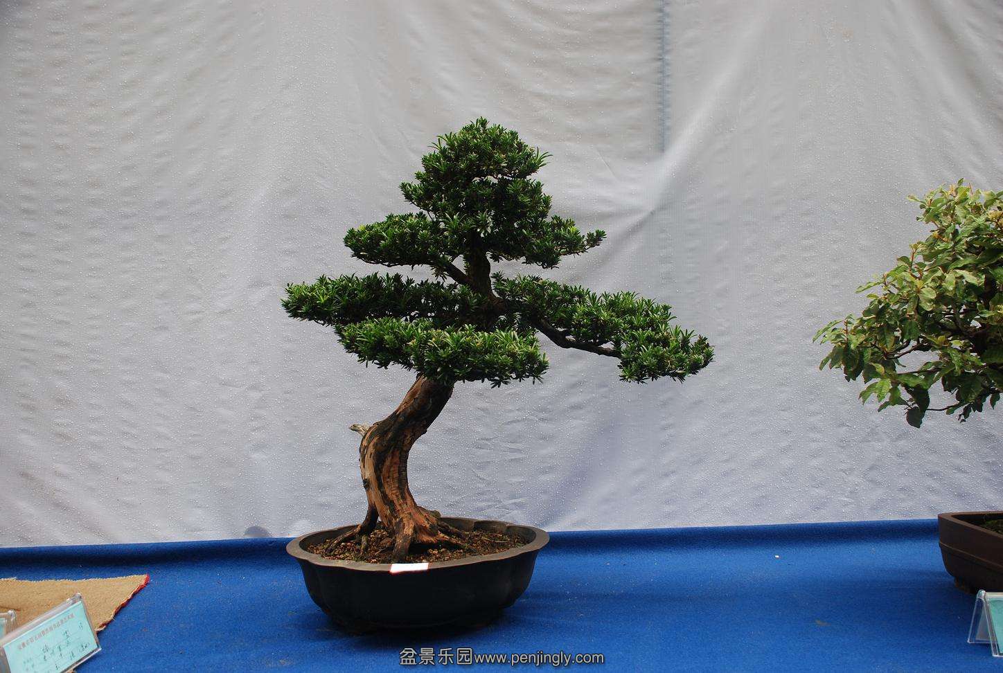 DSC_4146.JPG