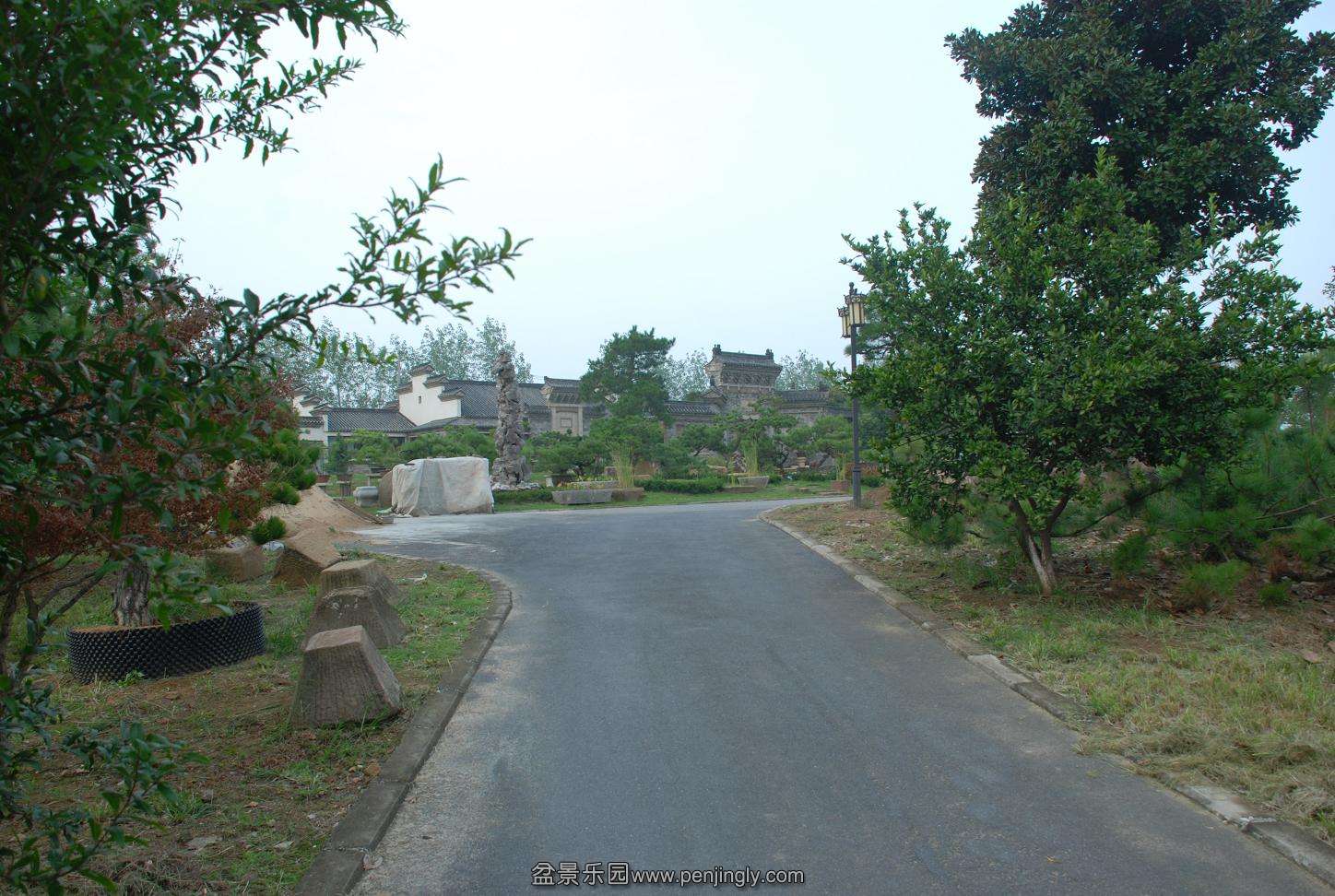 DSC_4830.JPG