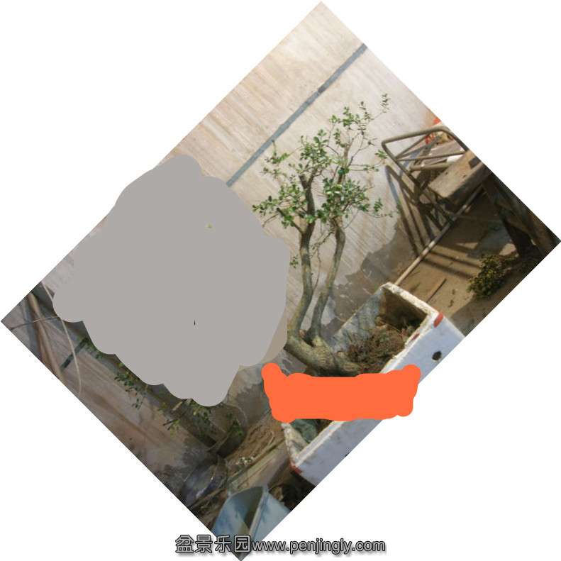 DSCN57970001_3.jpg