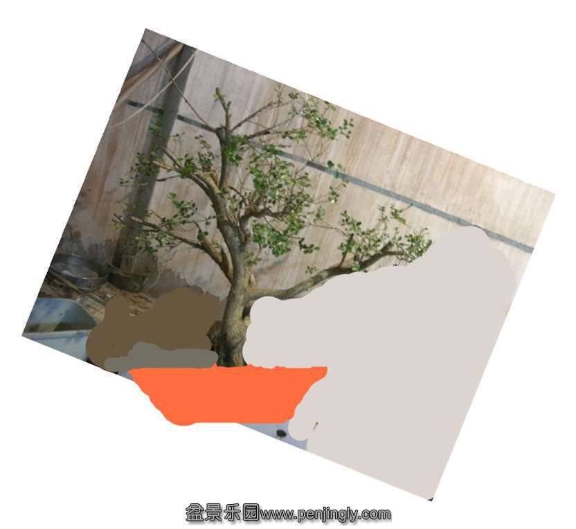 DSCN57970001__.jpg