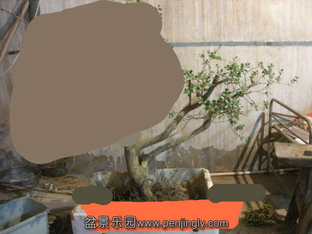DSCN57970001_2.jpg