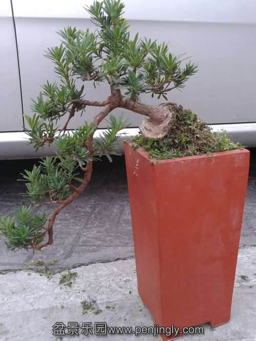 2013-09-14 17.51.38.jpg