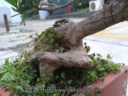 2013-09-14 17.54.10.jpg