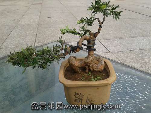 2013-09-14 15.02.01.jpg