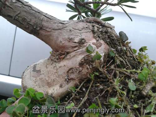 2013-09-14 17.54.58.jpg