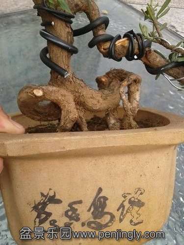 2013-09-14 15.03.17.jpg