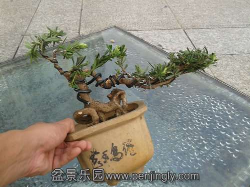 2013-09-14 15.03.03.jpg