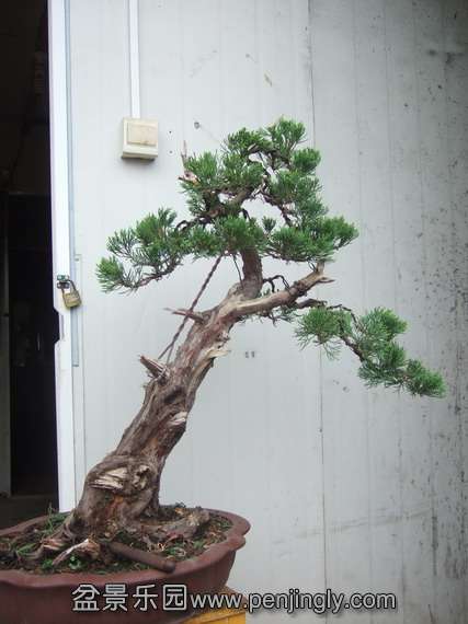 DSCF7637.jpg