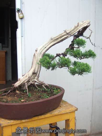DSCF7638.jpg