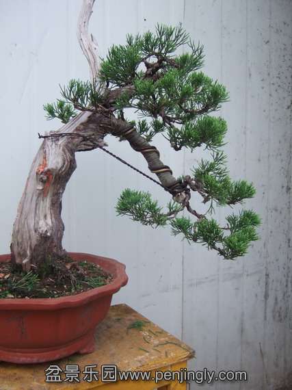 DSCF7640.jpg