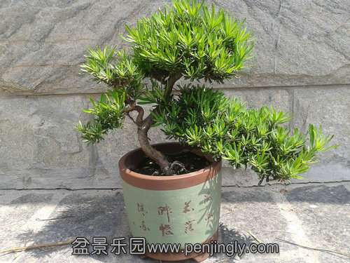 2013-09-15 12.26.26.jpg