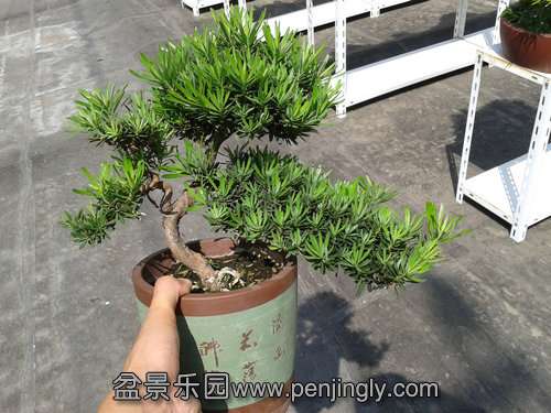 2013-09-15 12.58.32.jpg