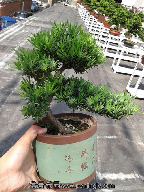 2013-09-15 12.59.06.jpg