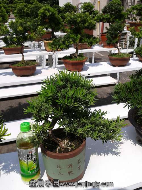 2013-09-15 13.00.50.jpg