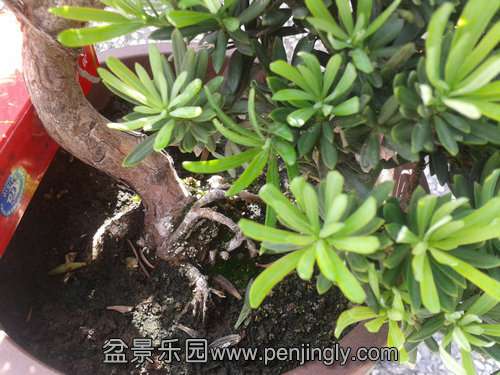 2013-09-15 12.21.42.jpg