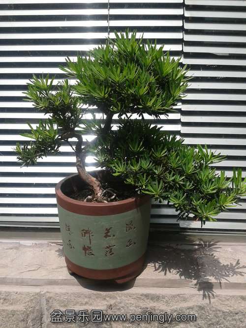 2013-09-15 12.25.35.jpg