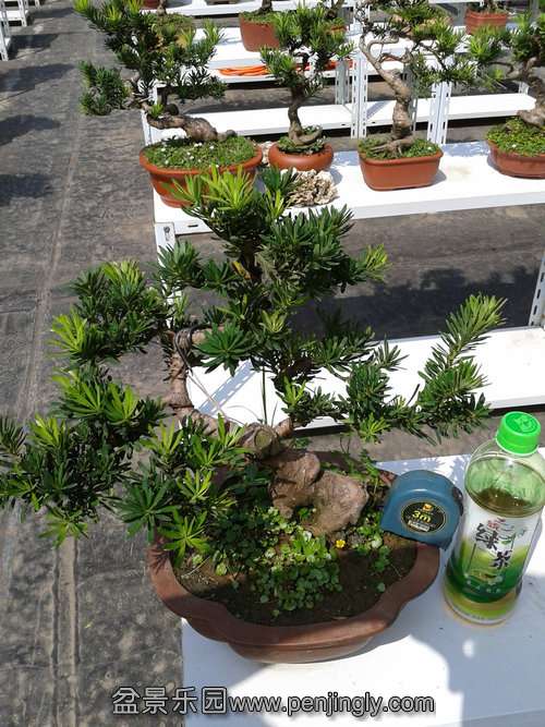 2013-09-15 13.09.26.jpg