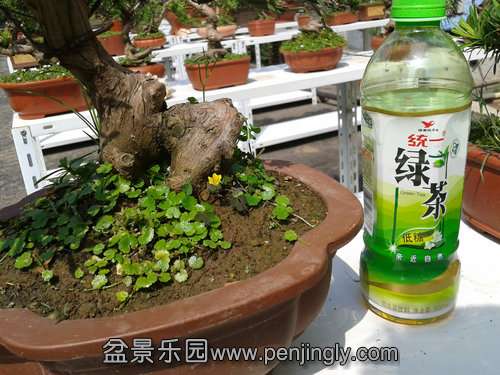 2013-09-15 13.09.46.jpg