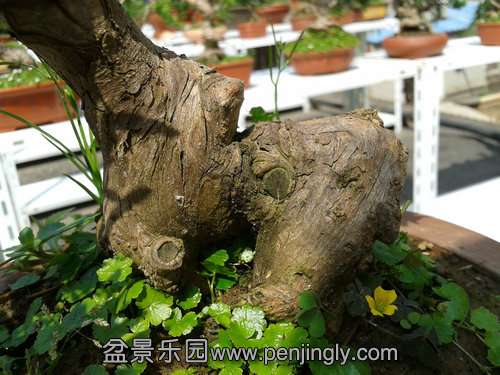 2013-09-15 13.09.57.jpg