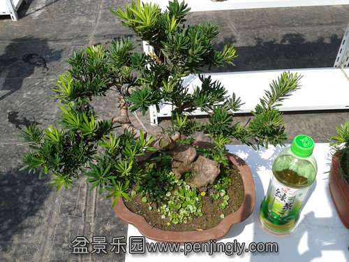 2013-09-15 13.10.22.jpg