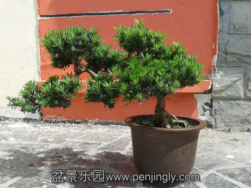 2013-09-15 12.37.50.jpg