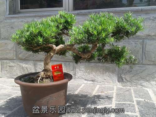 2013-09-15 12.35.16.jpg