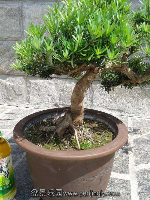 2013-09-15 12.36.25.jpg