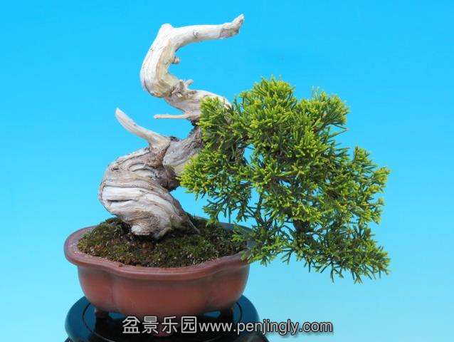360ͼ20130908080358541.jpg