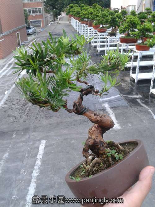 2013-09-15 17.46.44.jpg