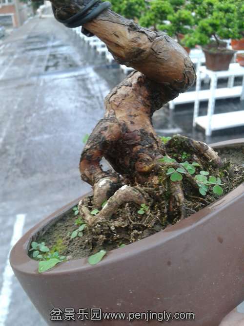 2013-09-15 17.46.59.jpg