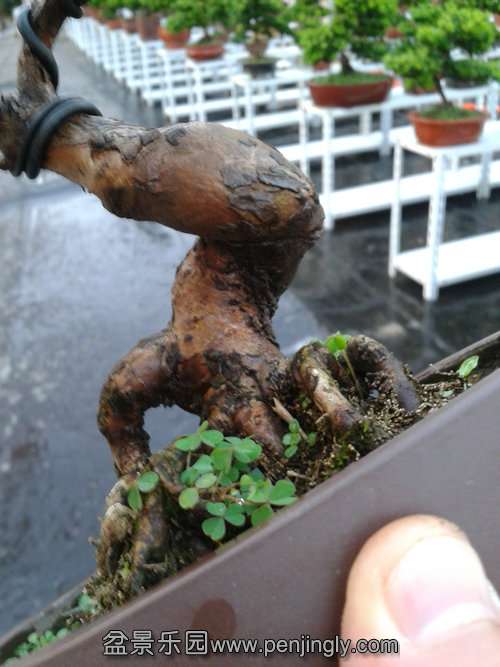 2013-09-15 17.48.54.jpg