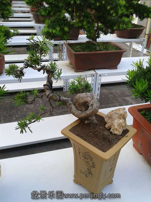 2013-09-15 17.16.46.jpg