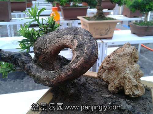 2013-09-15 17.23.36.jpg