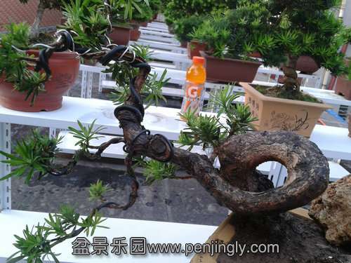 2013-09-15 17.23.44.jpg