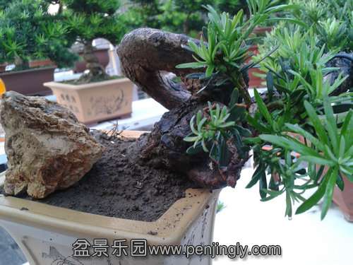 2013-09-15 17.24.19.jpg