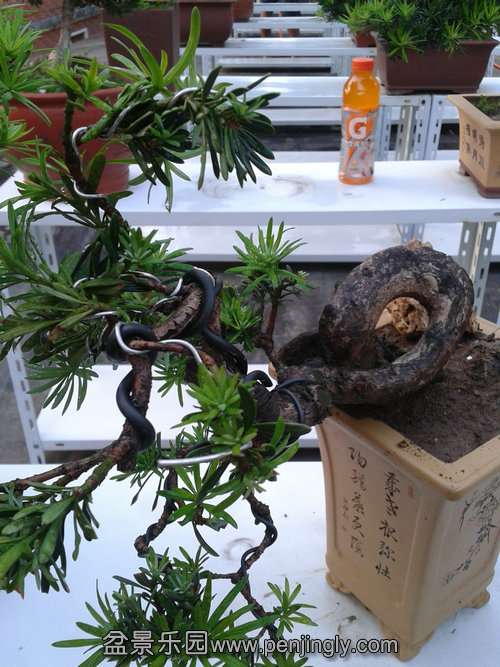 2013-09-15 17.26.37.jpg