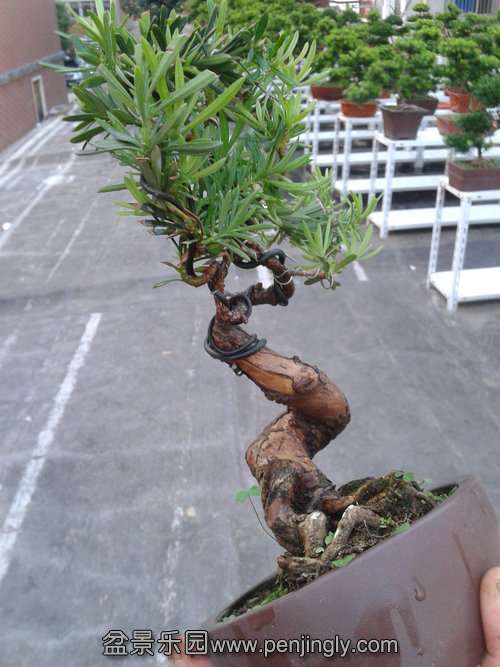 2013-09-15 17.44.10.jpg