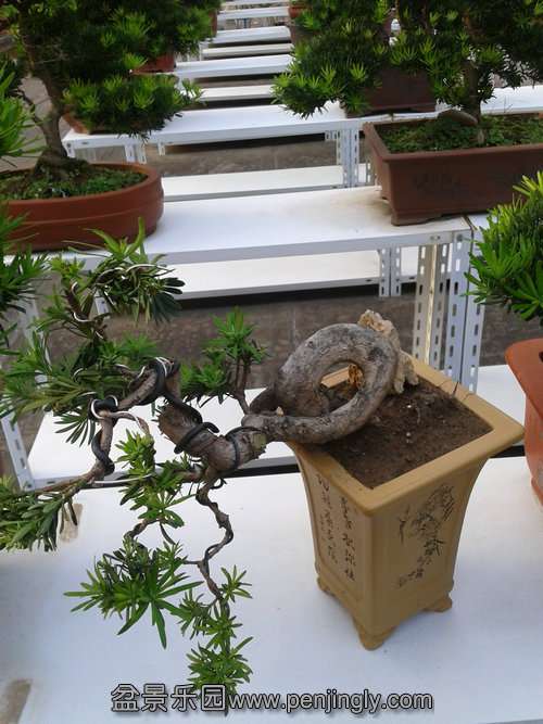 2013-09-15 17.14.08.jpg