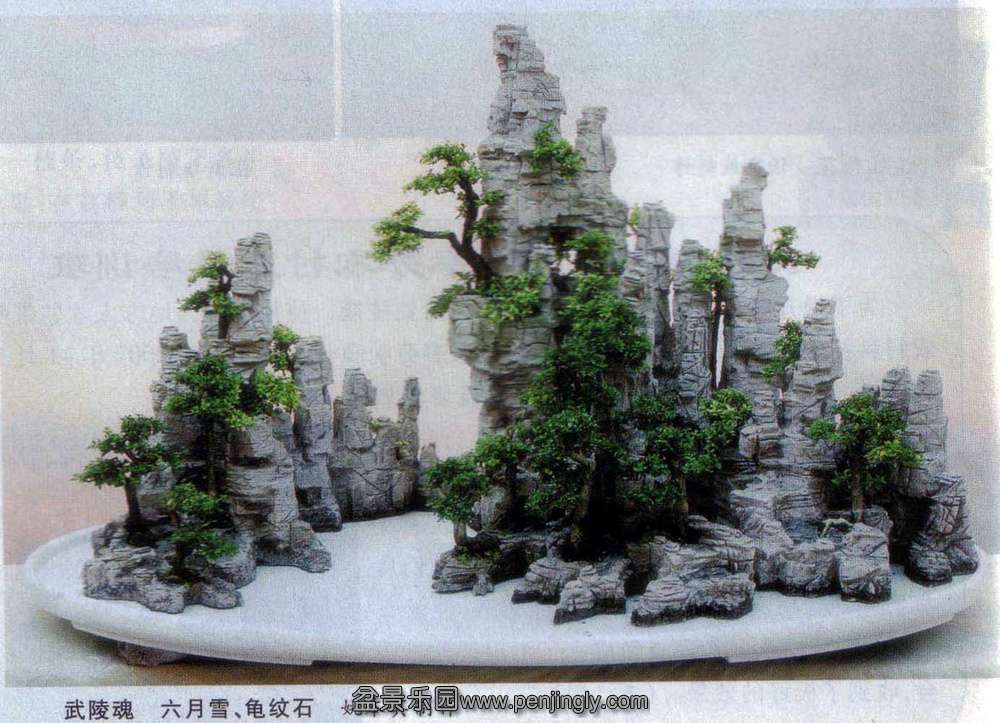 -辰-Ҧ-ѩ ʯ.jpg