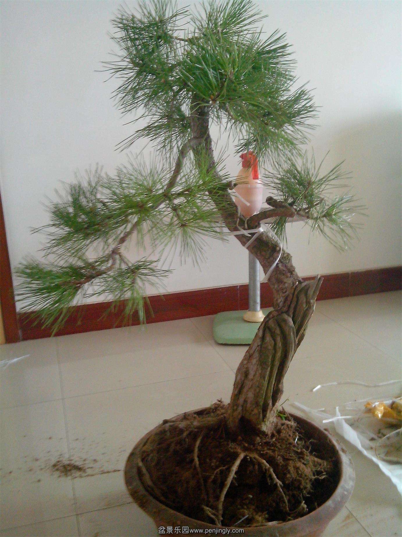 IMG20130916008.jpg